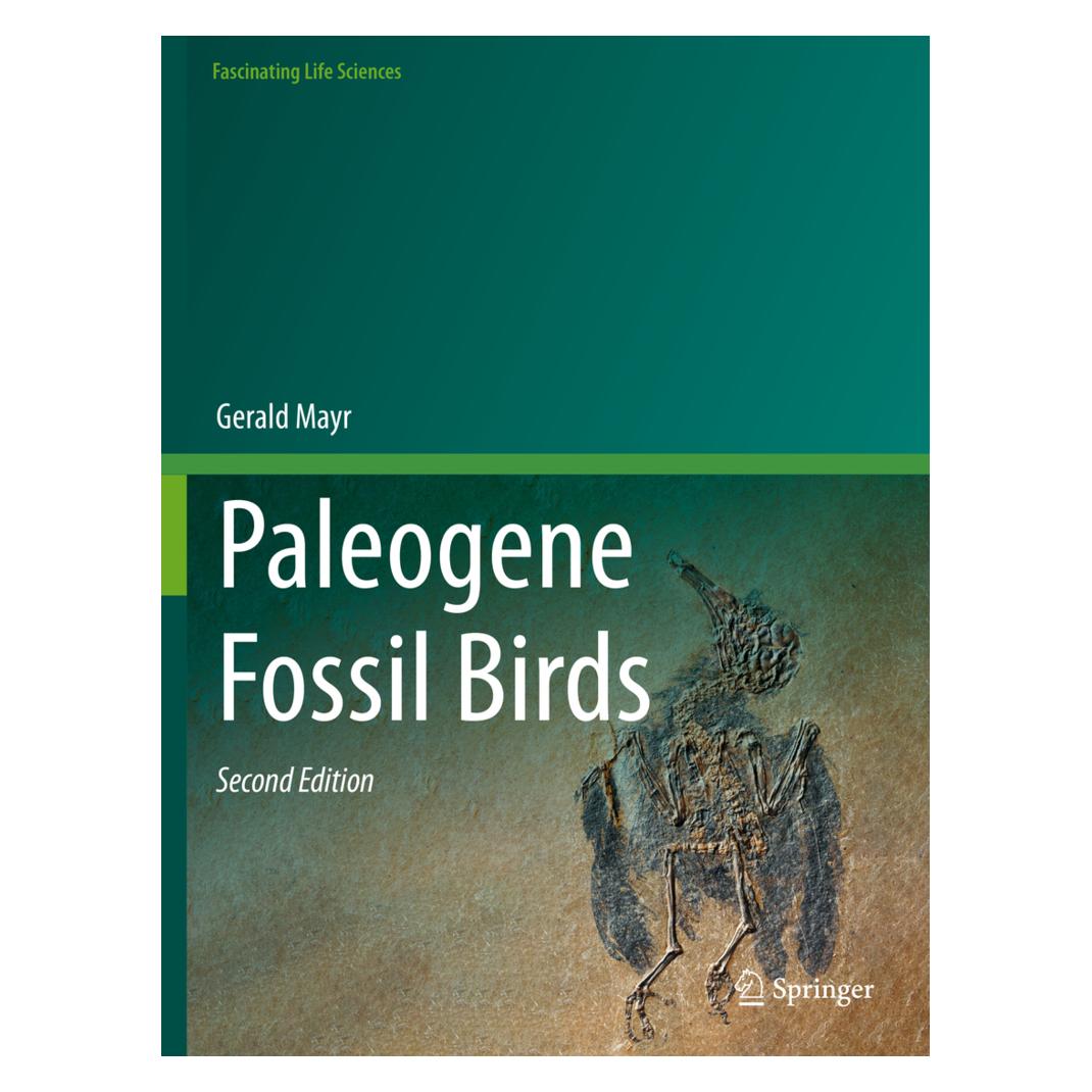 Springer Paleogene Fossil Birds (Englisch, Softcover, Gerald Mayr) (56931462)