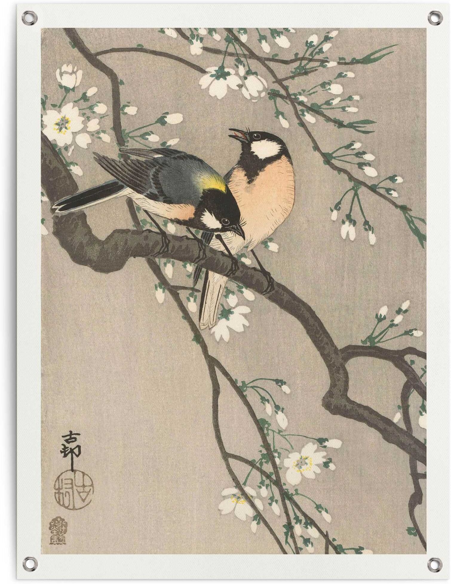 Reinders! Poster REINDERS "Ohara Koson Kohlmeisen auf Blütenzweig", beige (farbe bild(er): beige), B:60cm H:80cm T:0,1cm, Leinwand, Bilder, Poster, Outdoor für Garten oder Balkon farbe bild(er): beige B/H/T: 60cm x 80cm x 0,1cm