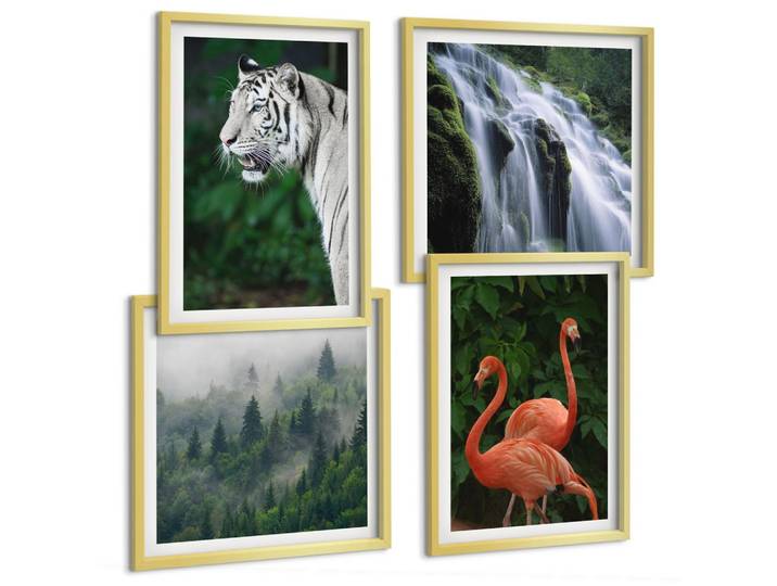 BILDER SET 4er Set - 50x50 cm & 40x60 cm Goldrahmen - Tiger Wasserfall Flamingos Natur