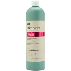 1L Lisap Keraplant Absolute Color Acidifying Post-Colour Conditioner