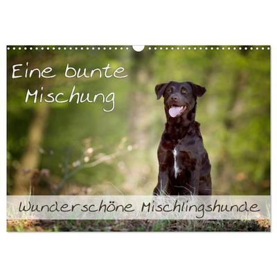 Eine bunte Mischung - wunderschöne Mischlingshunde / Geburtstagskalender (Wandkalender 2026 DIN A3 quer), CALVENDO Monatskalender