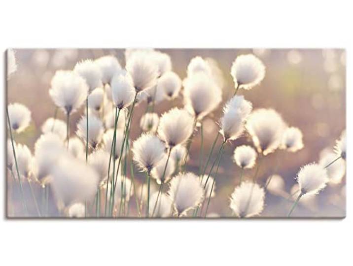 ARTLAND Wanddeko Leinwand Bilder Wandbild 150 x 75 cm Natur Zauber Idyll Frühling Moor Pflanzen Gräser Blumen Wollgras T2BZ