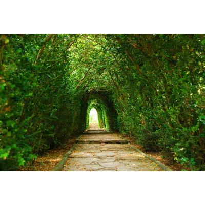 Fototapete PAPERMOON "Gartenweg", bunt, B:2,5m L:1,86m, Vlies, Tapeten