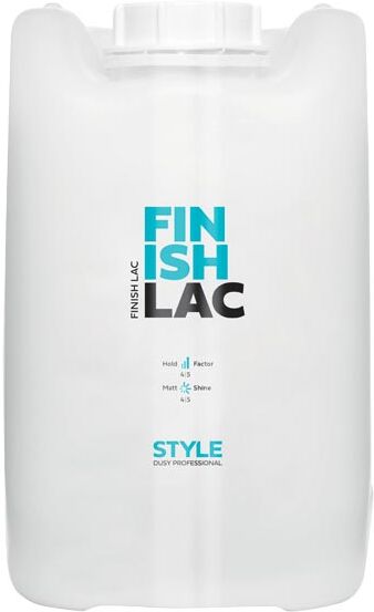 5L dusy professional Style Finish Lac