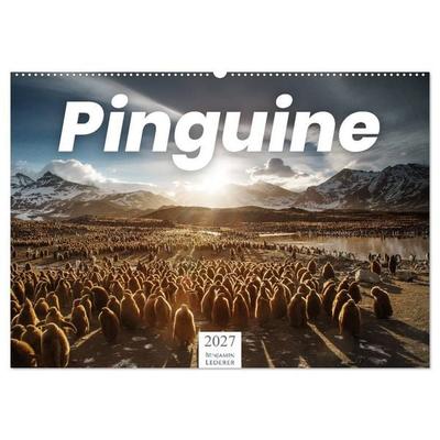 Pinguine - Die sympathischen Frack-Träger (Wandkalender 2027 DIN A2 quer), CALVENDO Monatskalender