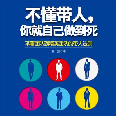 不懂带人，你就自己做到死 - 王剑, Audio, 4069828595651