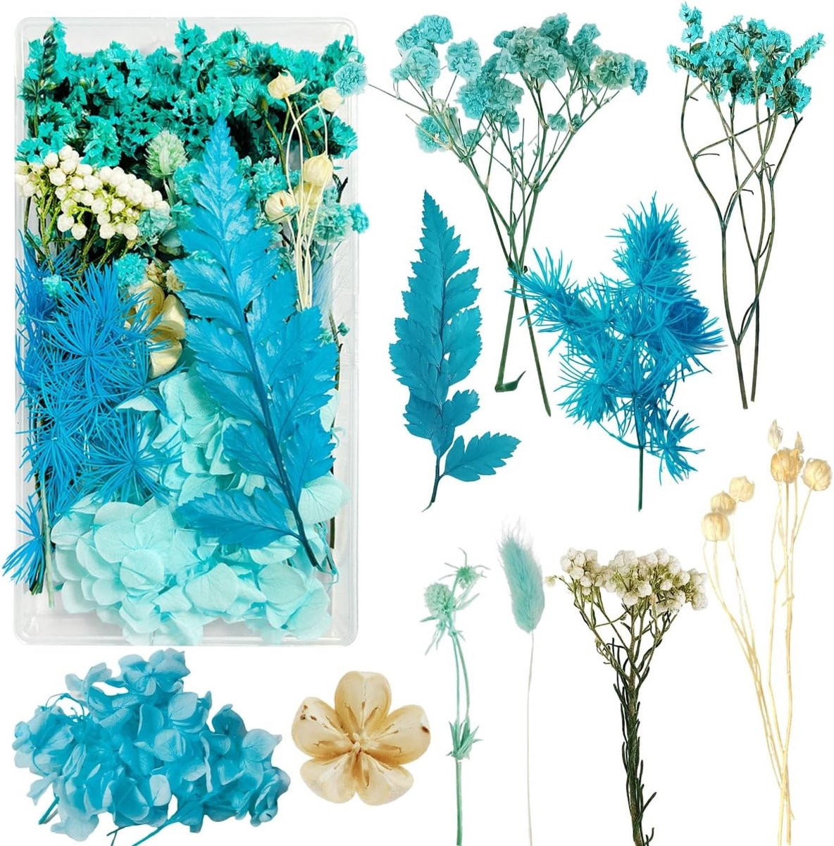 Kleurige gedroogde bloemen voor ambacht en decoratie