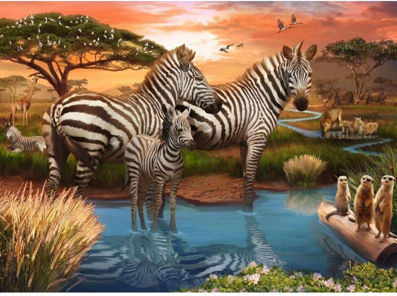 Ravensburger Puzzle 500 pièces - Zèbres au plan d'eau