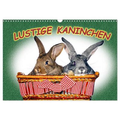 Lustige Kaninchen (Wandkalender 2026 DIN A3 quer), CALVENDO Monatskalender