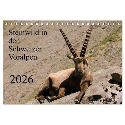 Steinwild in den Schweizer Voralpen (Tischkalender 2026 DIN A5 quer), CALVENDO Monatskalender
