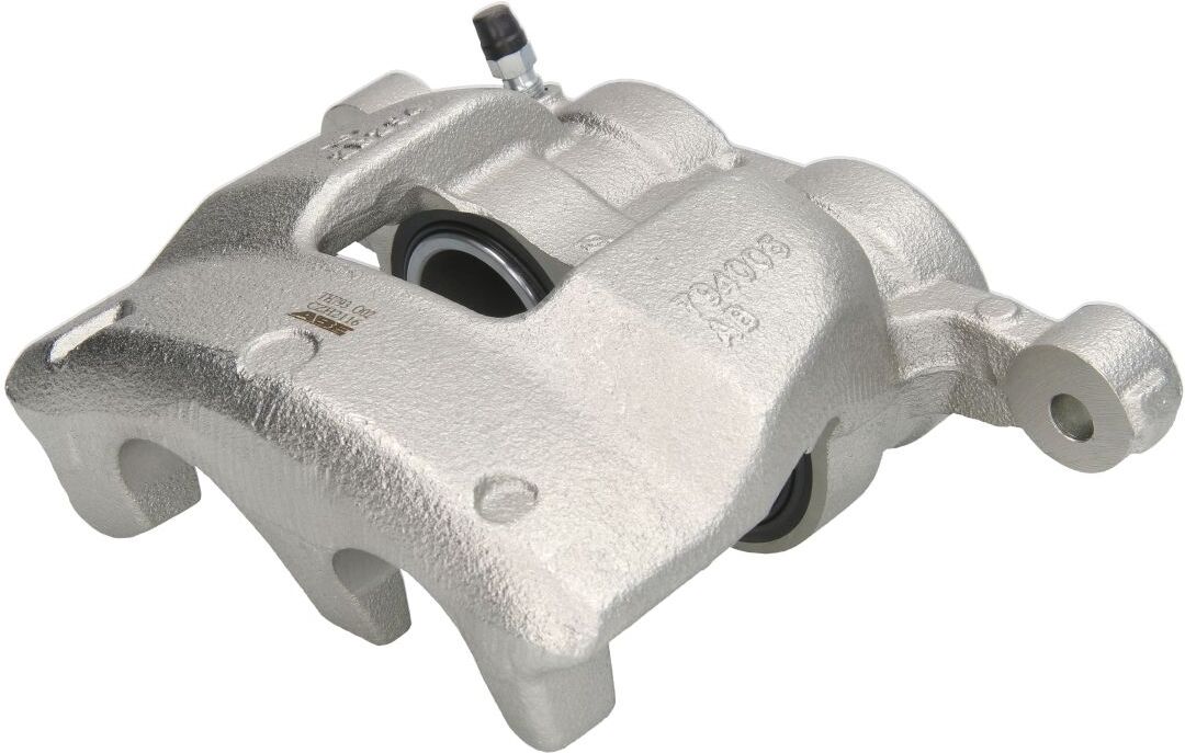 Jarrusatula Abe Czh2116