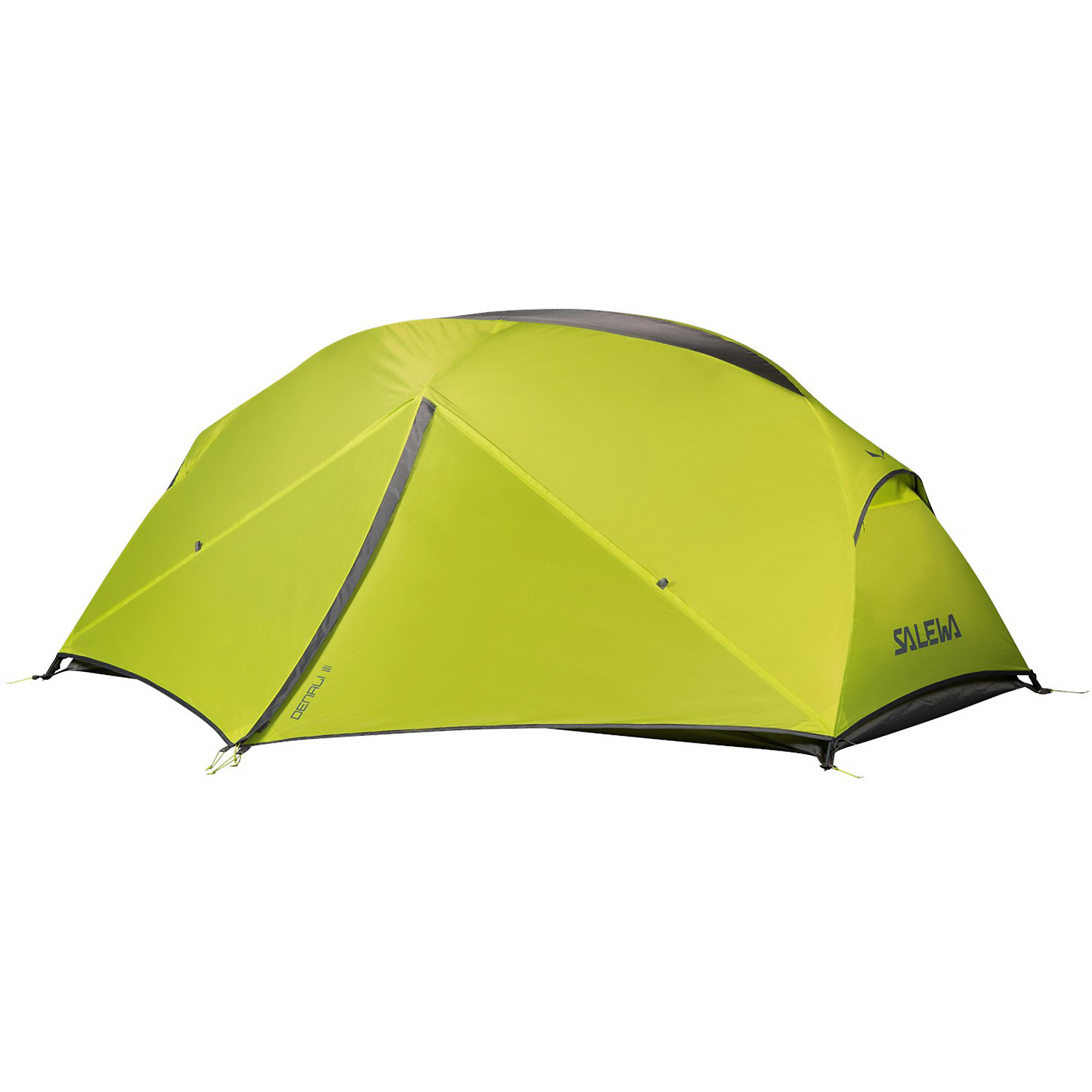 Salewa - Denali III Tent (Zelt), Farbe:cactus/grey, Größe:UNI