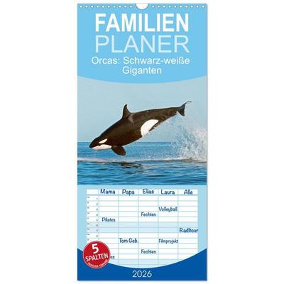 Familienplaner 2026 - Orcas: Schwarz-weiße Giganten mit 5 Spalten (Wandkalender, 21 x 45 cm) CALVENDO