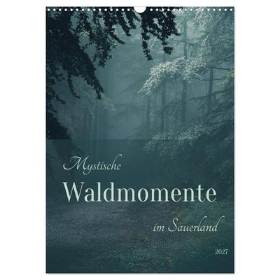 Mystische Waldmomente im Sauerland (Wandkalender 2027 DIN A3 hoch), CALVENDO Monatskalender