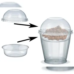 VEPATIM 100x Feinkostbecher für Salat Müsli Joghurt mit Einsatz + Deckel 250 ml