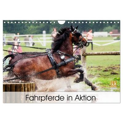 Fahrpferde in Aktion (Wandkalender 2027 DIN A4 quer), CALVENDO Monatskalender