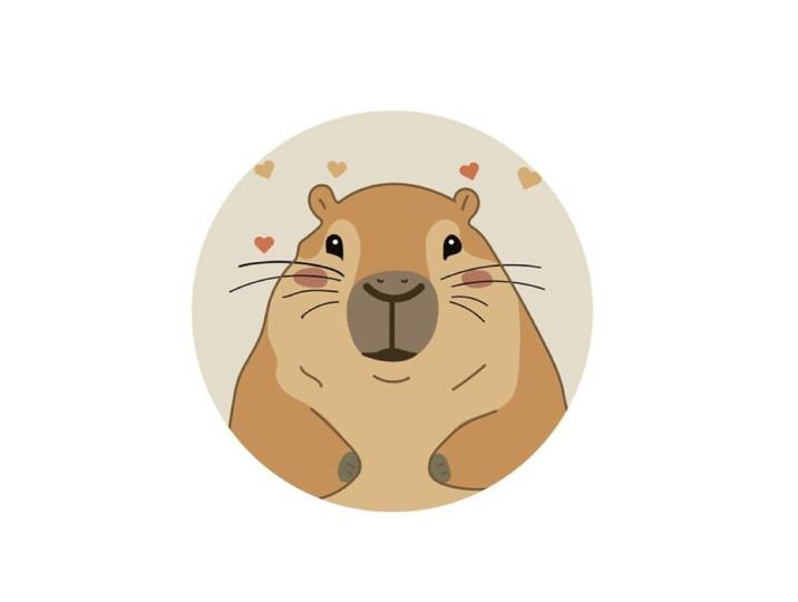 Capybara Sierkussen