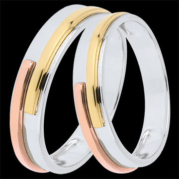 Edenly Titan Duo Trauringe â€“ Drei Goldarten â€“ 18 Karat