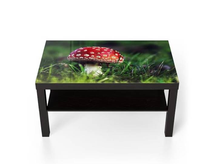 DEQORI Glastisch schwarz groß 90x50 cm Motiv Roter Waldjuwel ausgefallener Beistelltisch aus Glas Hochglanz Couchtisch fürs Wohnzimmer moderner Couch Tisch mit Design