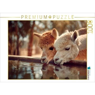 CALVENDO Puzzle Alpakas - Zeit für eine Pause | 1000 Teile Lege-Größe 64 × 48 cm Foto-Puzzle für glückliche Stunden, von , Calvendo Puzzle