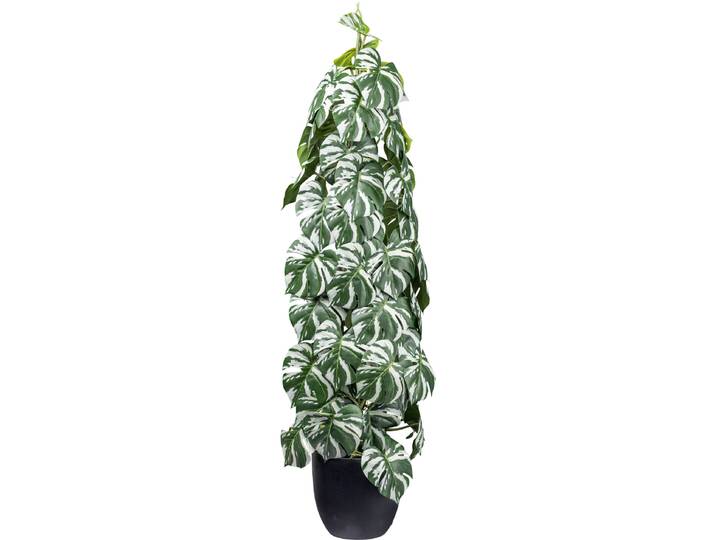 Künstliche Zimmerpflanze CREATIV GREEN Splitphilodendron , grün (grün, weiß), H:90cm, Kunstpflanzen, Künstliche Zimmerpflanze, mit säulenartigem Aufbau