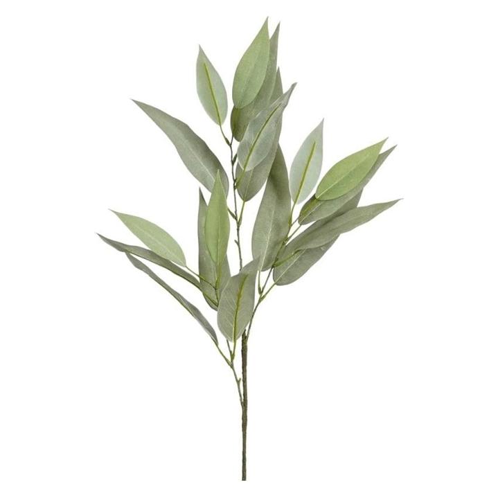 Mica Decorations Eucalyptus grün - l78cm (5 cm) (1189824)