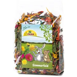 JR Farm Sommerfeld 1x100 g