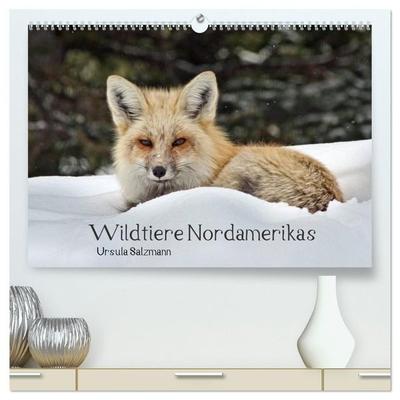 Wildtiere Nordamerikas (hochwertiger Premium Wandkalender 2027 DIN A2 quer), Kunstdruck in Hochglanz
