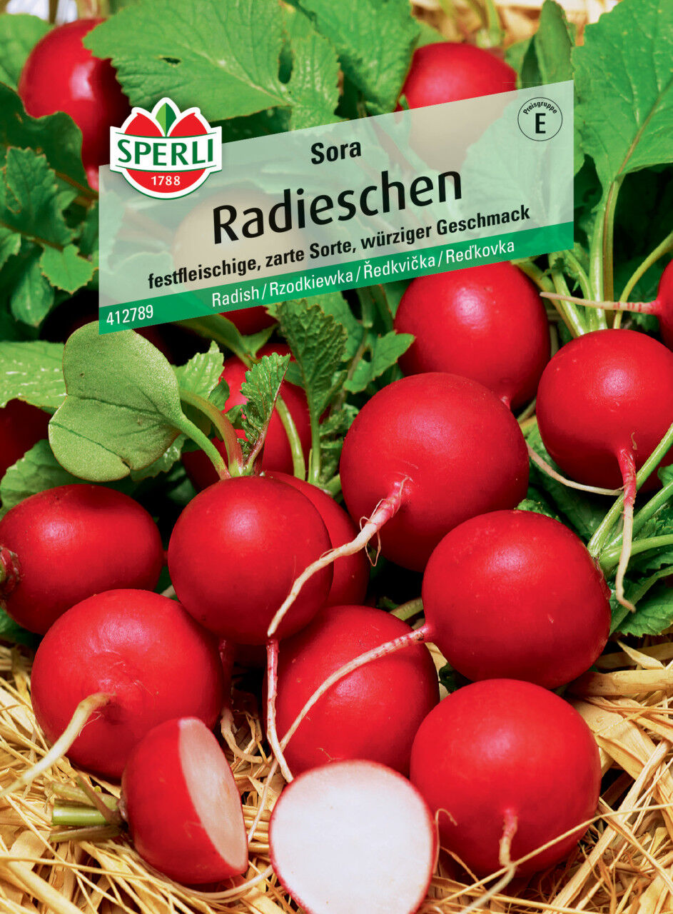 Sperli Radieschen Sora