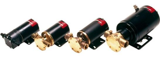 Johnson F4B-19 Impellerpumpe 24V