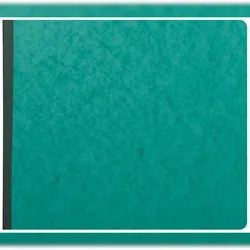 Exacompta 16800E Kassabuch 27x32 80S - 31 Liniert - Farben sortiert