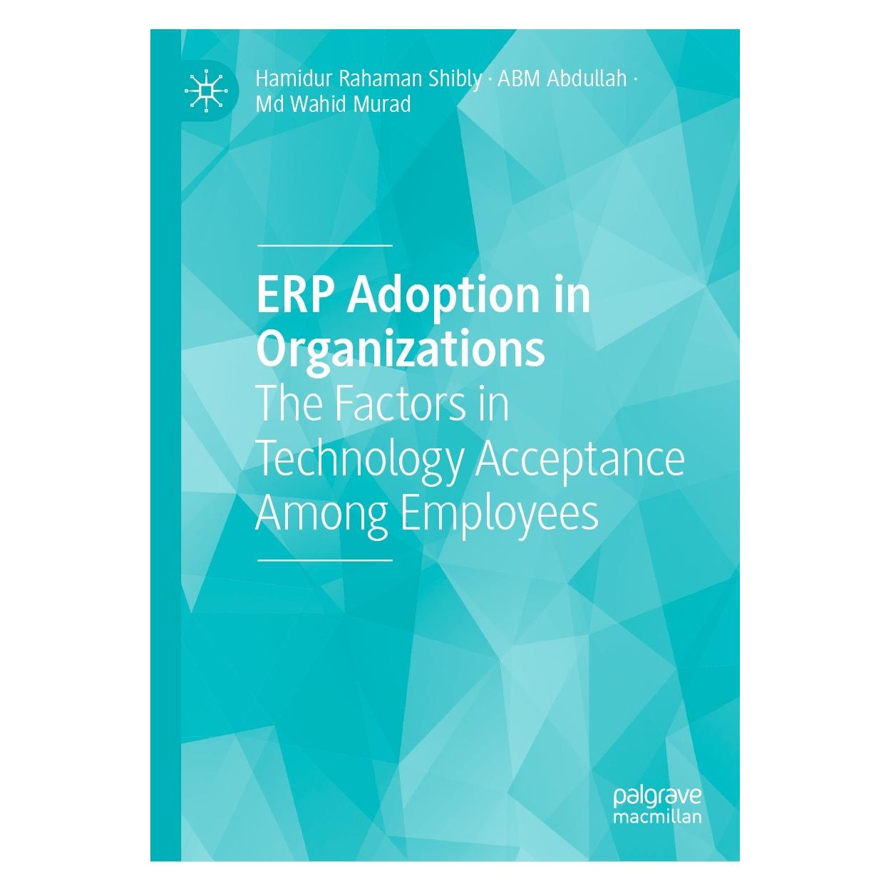Springer ERP Adoption in Organizations (9783031119330)
