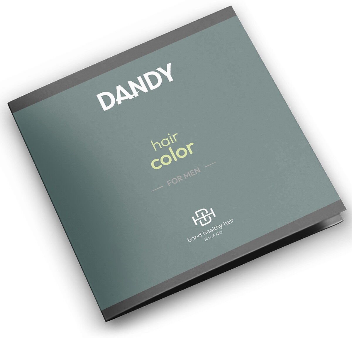 DANDY Men Hair Color Farbkarte