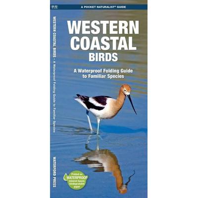 Western Coastal Birds, 2nd Ed, Geheftet von James Kavanagh, Globe Pequot Publishing Group Inc, 978-1-62005-552-6