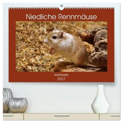 Niedliche Rennmäuse (hochwertiger Premium Wandkalender 2027 DIN A2 quer), Kunstdruck in Hochglanz