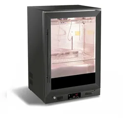 CombiSteel Dry Age Schrank 138L
