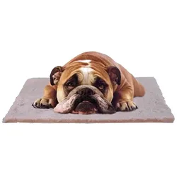 Kattens No. 1 - Comforta-Bett - Thermodecke 75x100cm - creme
