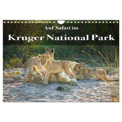 Auf Safari im Kruger National Park (Wandkalender 2026 DIN A4 quer), CALVENDO Monatskalender
