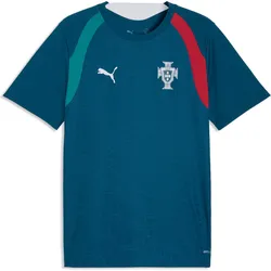 Puma, Herren, Fussballtrikot, FPF Training Jersey (M), Blau, Rot, Grün
