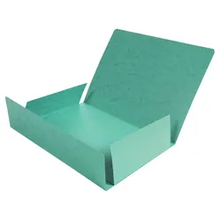 Exacompta Sammelmappen DIN A4 grün