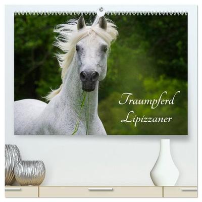 Traumpferd Lipizzaner (hochwertiger Premium Wandkalender 2027 DIN A2 quer), Kunstdruck in Hochglanz