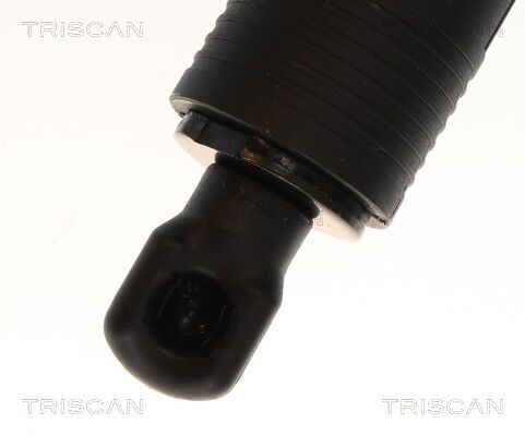 Triscan 8710 23323 Für Mercedes