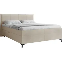 BOXBETT Eco Bis - H3