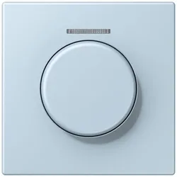 Jung Abdeckung mit Lichtleiter LC 1940 KO5 208