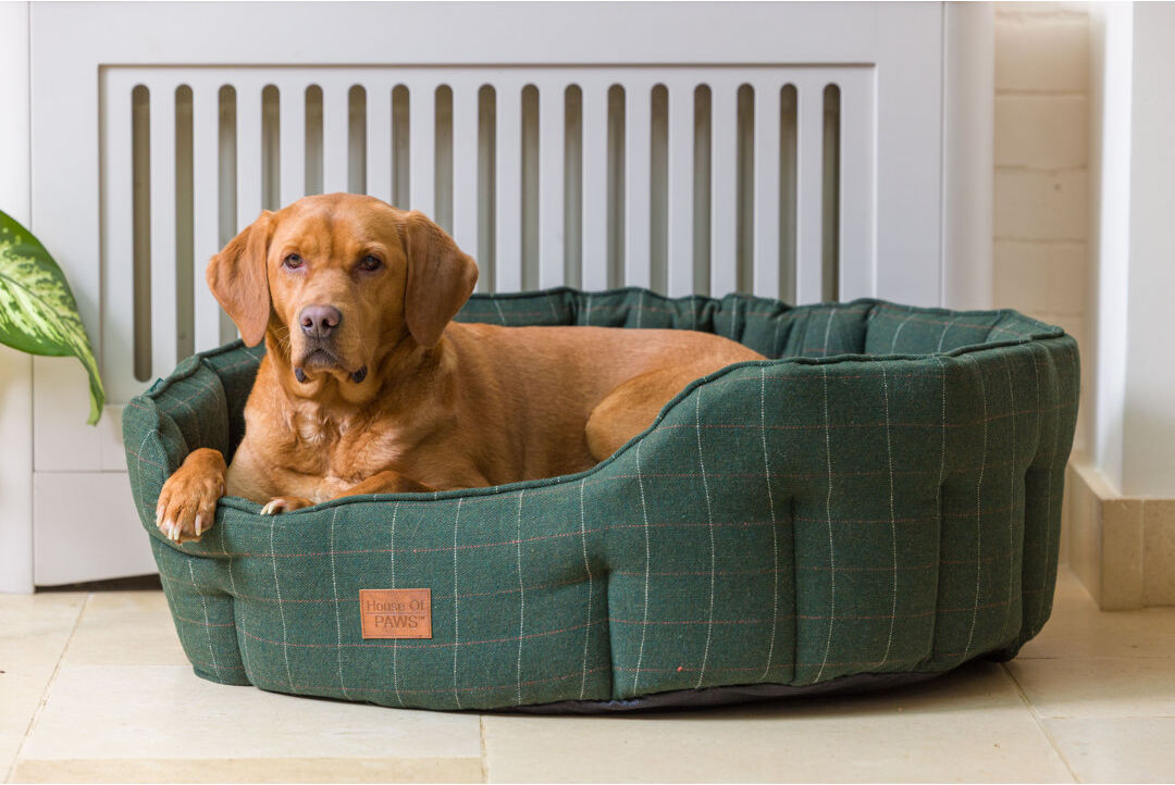 Brambly Cottage Oval Plaid Pet Bed Green Small