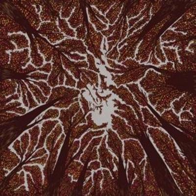 Trash Boat: Crown Shyness - Trash Boat, CD