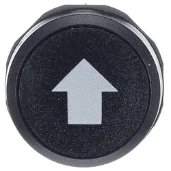 ABB CP9-1020 Drucktaster mit Pfeil, schwarz, flach, 1 Schließer + 1 Öffner 1SFA619199R1020