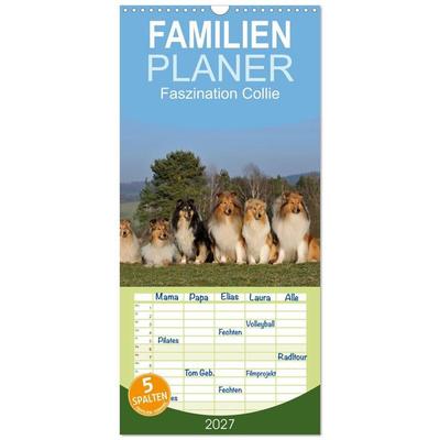 Familienplaner 2027 - Faszination Collie 2027 mit 5 Spalten (Wandkalender, 21 x 45 cm) CALVENDO