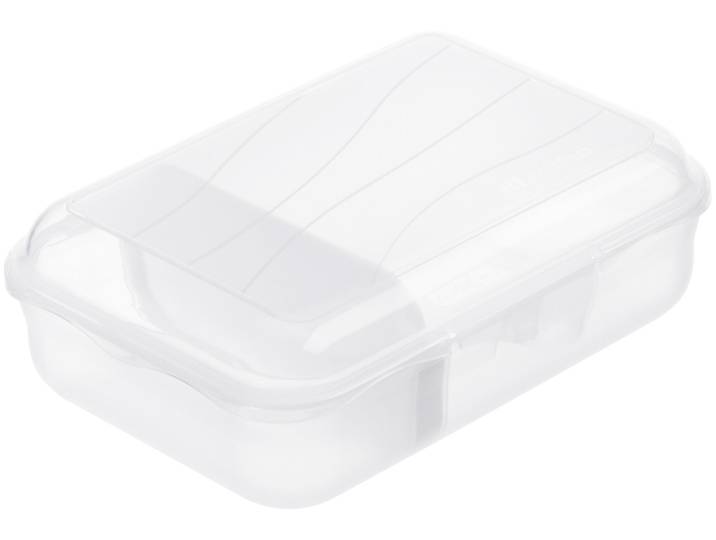 Rotho Fun Vesperbox S mit herausnehmbarer Trennwand 0.9l