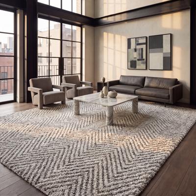 SAFAVIEH Hudson Shag Gulja 2-inch Thick Rug